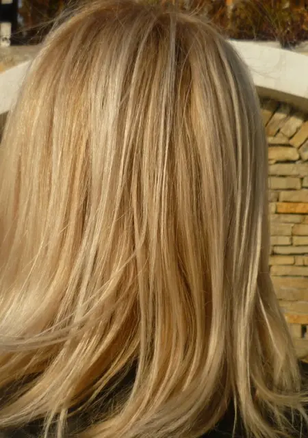 Photo #1734435