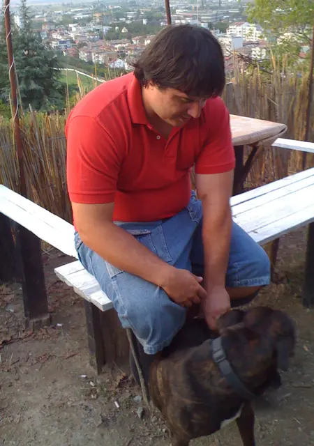 Photo #2083638