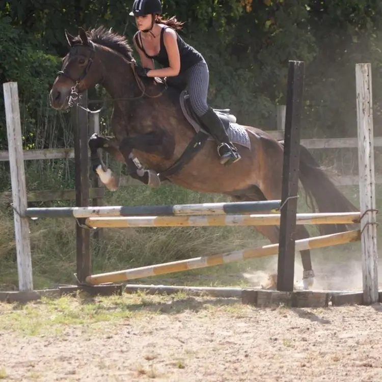 Photo #7844