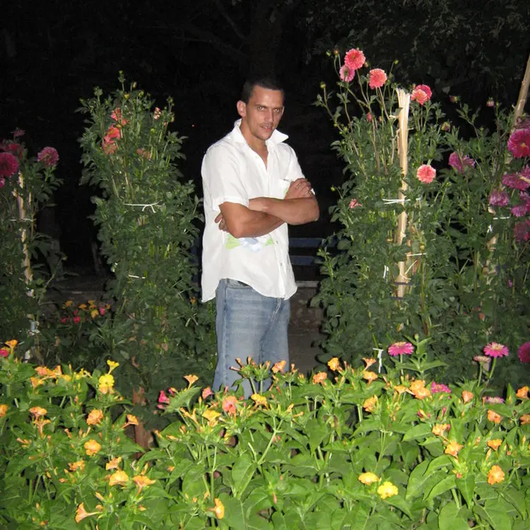 Photo #1308148