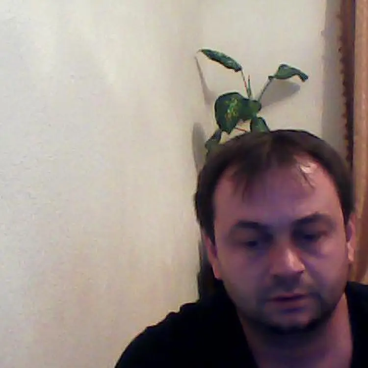 Photo #1709433