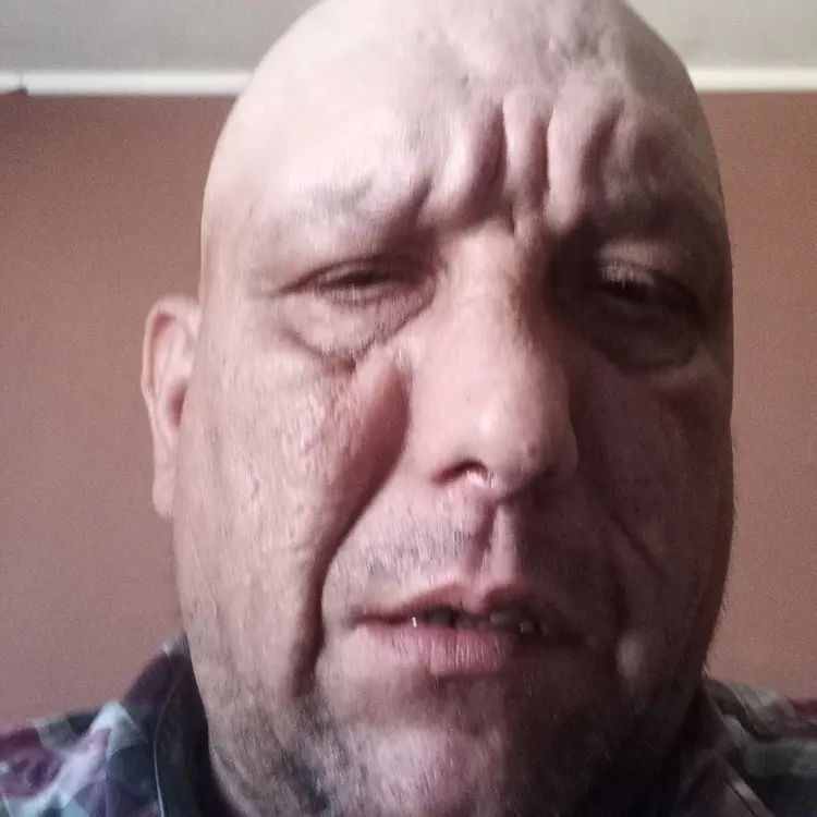Photo #2650180