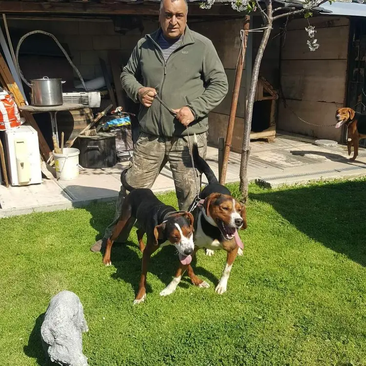 Photo #2205774