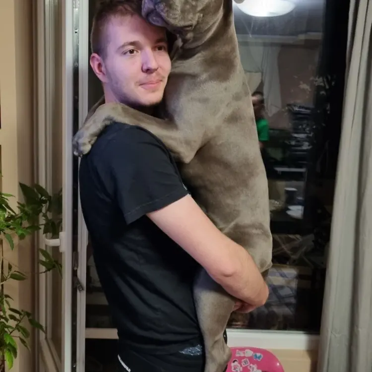 Photo #2233082