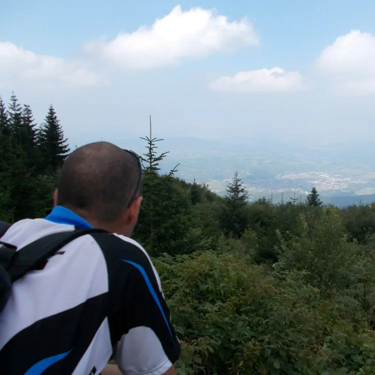 Photo #2194319